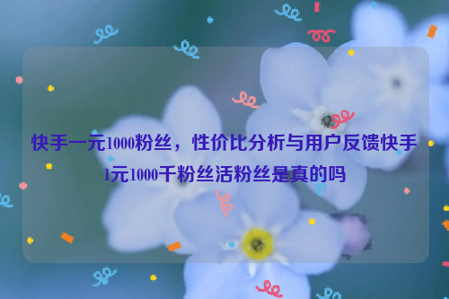 快手一元1000粉丝，性价比分析与用户反馈快手1元1000千粉丝活粉丝是真的吗