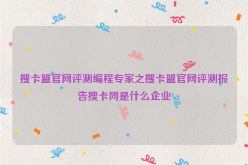 搜卡盟官网评测编程专家之搜卡盟官网评测报告搜卡网是什么企业