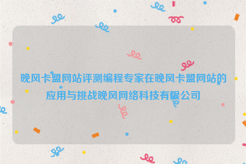 晚风卡盟网站评测编程专家在晚风卡盟网站的应用与挑战晚风网络科技有限公司