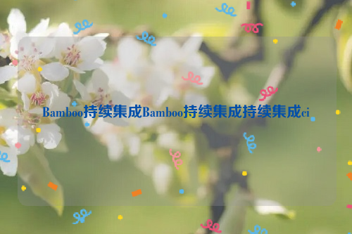 Bamboo持续集成Bamboo持续集成持续集成ci