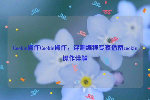 Cookie操作Cookie操作，评测编程专家指南cookie操作详解