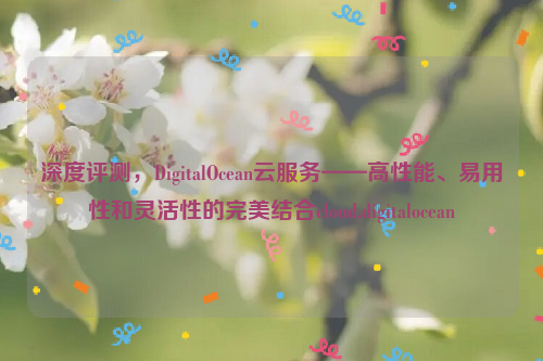 深度评测，DigitalOcean云服务——高性能、易用性和灵活性的完美结合cloud.digitalocean