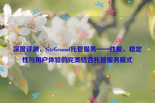 深度评测，SiteGround托管服务——性能、稳定性与用户体验的完美结合托管服务模式