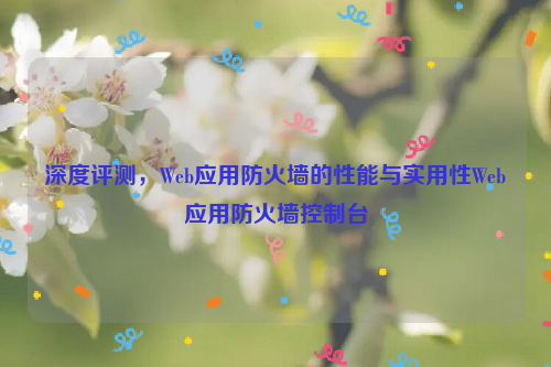 深度评测，Web应用防火墙的性能与实用性Web应用防火墙控制台