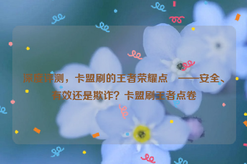 深度评测，卡盟刷的王者荣耀点劵——安全、有效还是欺诈？卡盟刷王者点卷