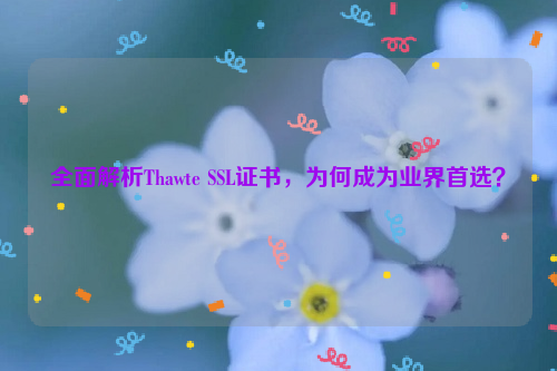 全面解析Thawte SSL证书，为何成为业界首选？