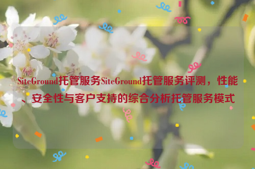 SiteGround托管服务SiteGround托管服务评测，性能、安全性与客户支持的综合分析托管服务模式