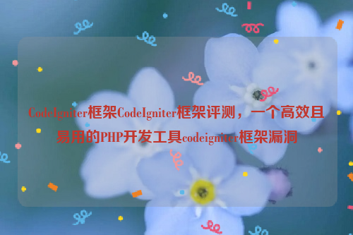 CodeIgniter框架CodeIgniter框架评测，一个高效且易用的PHP开发工具codeigniter框架漏洞