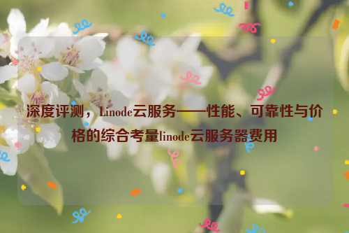 深度评测，Linode云服务——性能、可靠性与价格的综合考量linode云服务器费用