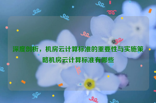 深度剖析，机房云计算标准的重要性与实施策略机房云计算标准有哪些