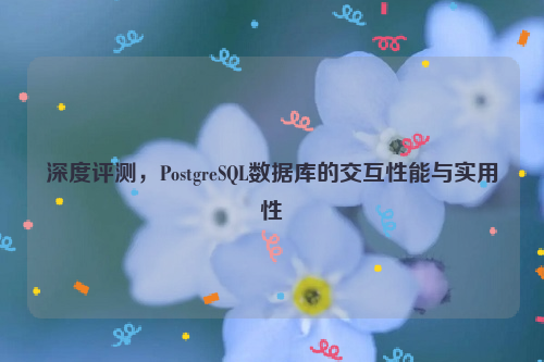 深度评测，PostgreSQL数据库的交互性能与实用性