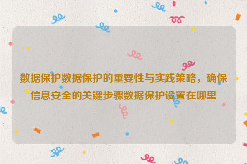 数据保护数据保护的重要性与实践策略，确保信息安全的关键步骤数据保护设置在哪里