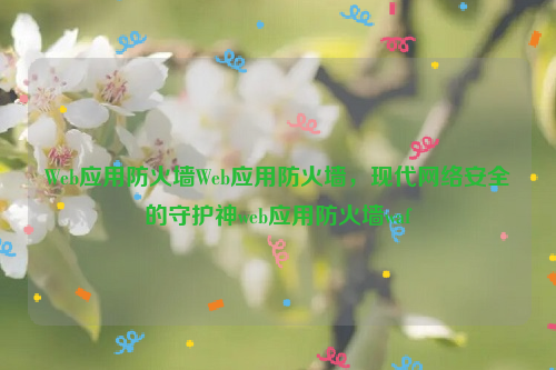 Web应用防火墙Web应用防火墙，现代网络安全的守护神web应用防火墙waf