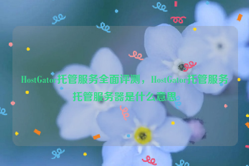 HostGator托管服务全面评测，HostGator托管服务托管服务器是什么意思