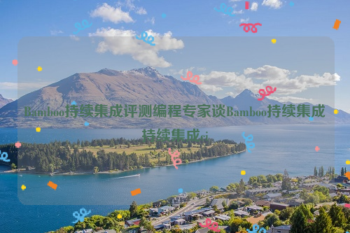 Bamboo持续集成评测编程专家谈Bamboo持续集成持续集成ci