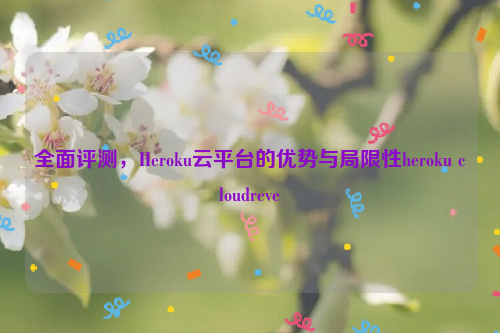 全面评测，Heroku云平台的优势与局限性heroku cloudreve