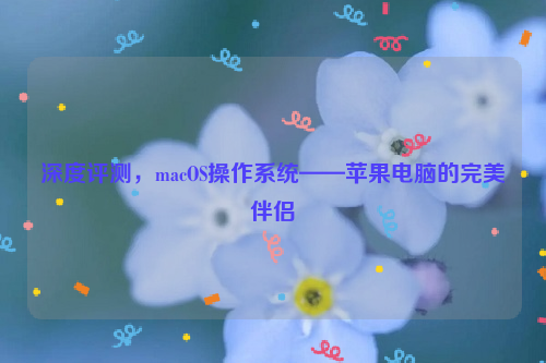 深度评测，macOS操作系统——苹果电脑的完美伴侣