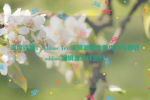 深度评测，Sublime Text编辑器的全面优势与特性sublime编辑器怎样运行