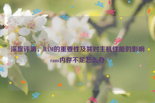 深度评测，RAM的重要性及其对主机性能的影响ram内存不足怎么办