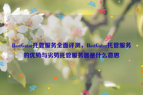 HostGator托管服务全面评测，HostGator托管服务的优势与劣势托管服务器是什么意思