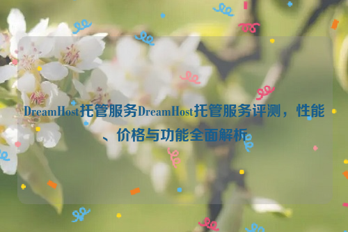 DreamHost托管服务DreamHost托管服务评测，性能、价格与功能全面解析