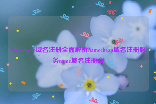 Namecheap域名注册全面解析Namecheap域名注册服务name域名注册商