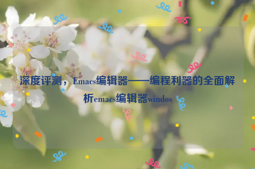 深度评测，Emacs编辑器——编程利器的全面解析emacs编辑器windos