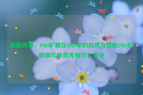 深度评测，PDO扩展在PHP中的应用与性能PDO扩展操作数据库有什么特点