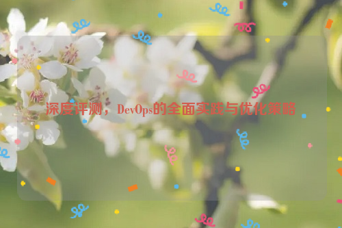 深度评测，DevOps的全面实践与优化策略