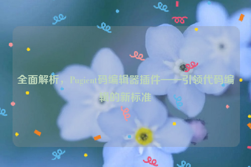 全面解析，Pugient码编辑器插件——引领代码编辑的新标准