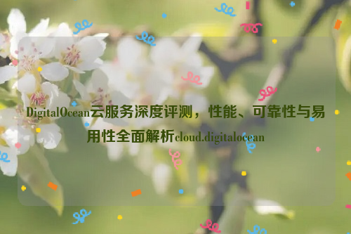 DigitalOcean云服务深度评测，性能、可靠性与易用性全面解析cloud.digitalocean