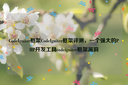 CodeIgniter框架CodeIgniter框架评测，一个强大的PHP开发工具codeigniter框架漏洞