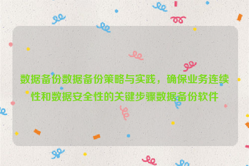 数据备份数据备份策略与实践，确保业务连续性和数据安全性的关键步骤数据备份软件