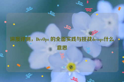 深度评测，DevOps 的全面实践与挑战devops什么意思