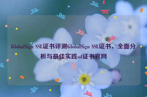 GlobalSign SSL证书评测GlobalSign SSL证书，全面分析与最佳实践ssl证书官网