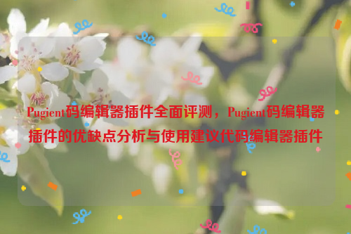 Pugient码编辑器插件全面评测，Pugient码编辑器插件的优缺点分析与使用建议代码编辑器插件