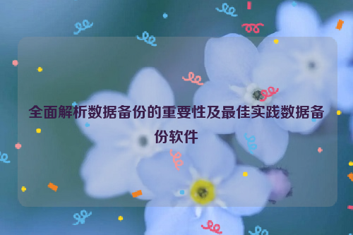 全面解析数据备份的重要性及最佳实践数据备份软件