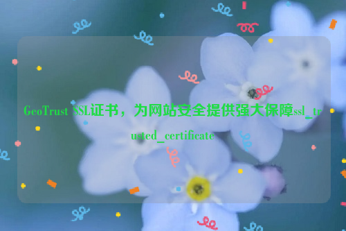 GeoTrust SSL证书，为网站安全提供强大保障ssl_trusted_certificate