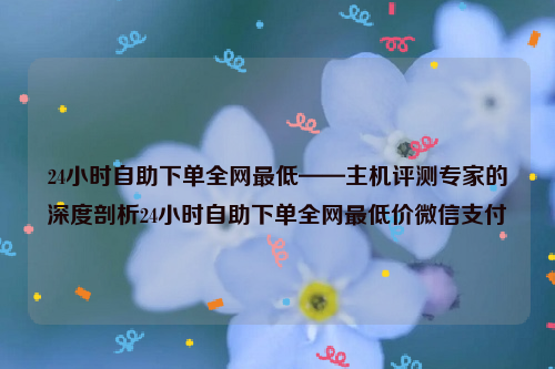 24小时自助下单全网最低——主机评测专家的深度剖析24小时自助下单全网最低价微信支付