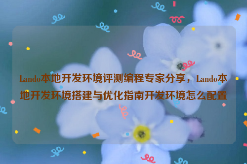 Lando本地开发环境评测编程专家分享，Lando本地开发环境搭建与优化指南开发环境怎么配置