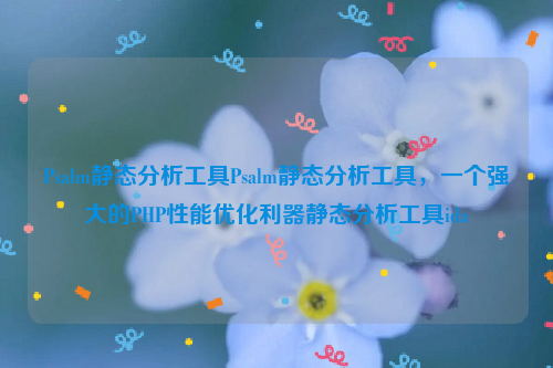 Psalm静态分析工具Psalm静态分析工具，一个强大的PHP性能优化利器静态分析工具ida