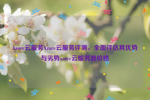 Azure云服务Azure云服务评测，全面评估其优势与劣势azure云服务器价格