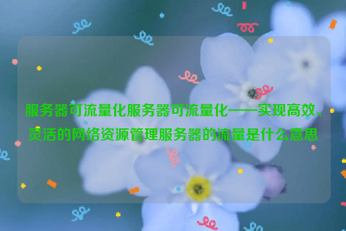 服务器可流量化服务器可流量化——实现高效、灵活的网络资源管理服务器的流量是什么意思