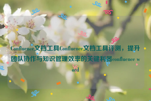 Confluence文档工具Confluence文档工具评测，提升团队协作与知识管理效率的关键利器confluence word