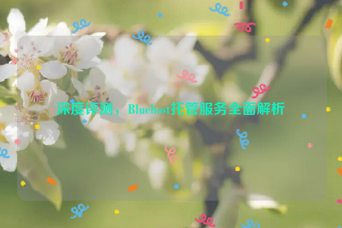 深度评测，Bluehost托管服务全面解析