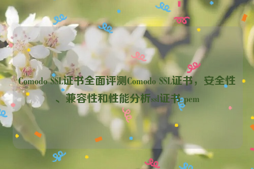 Comodo SSL证书全面评测Comodo SSL证书，安全性、兼容性和性能分析ssl证书 pem