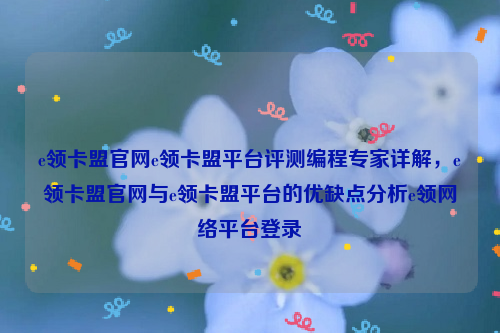 e领卡盟官网e领卡盟平台评测编程专家详解，e领卡盟官网与e领卡盟平台的优缺点分析e领网络平台登录