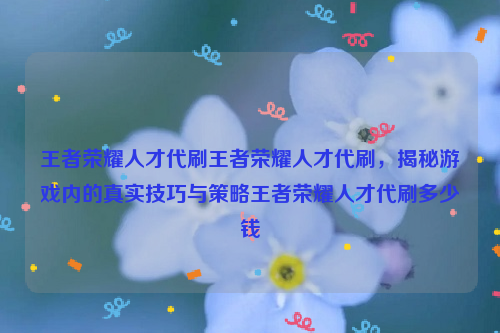 王者荣耀人才代刷王者荣耀人才代刷，揭秘游戏内的真实技巧与策略王者荣耀人才代刷多少钱