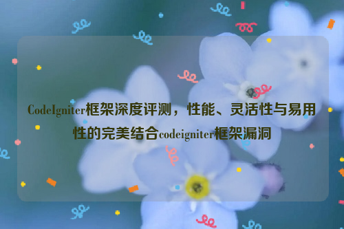 CodeIgniter框架深度评测，性能、灵活性与易用性的完美结合codeigniter框架漏洞