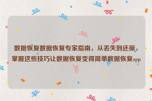 数据恢复数据恢复专家指南，从丢失到还原，掌握这些技巧让数据恢复变得简单数据恢复app